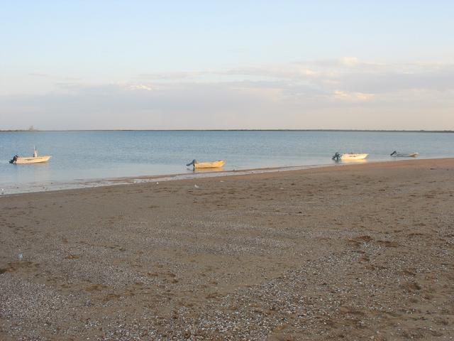 Port Hedland Fishwrecked 2